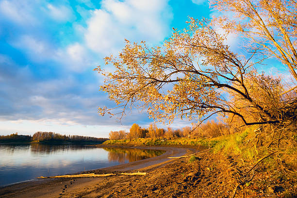 istock Autumn landscape on river at sunset 614125014