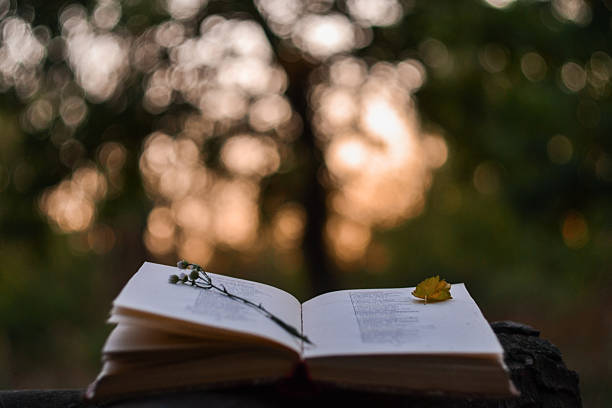 Poetry book at sunset stock photo