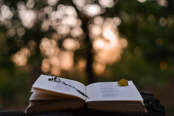 poetry book at sunset - literatura imagens e fotografias de stock