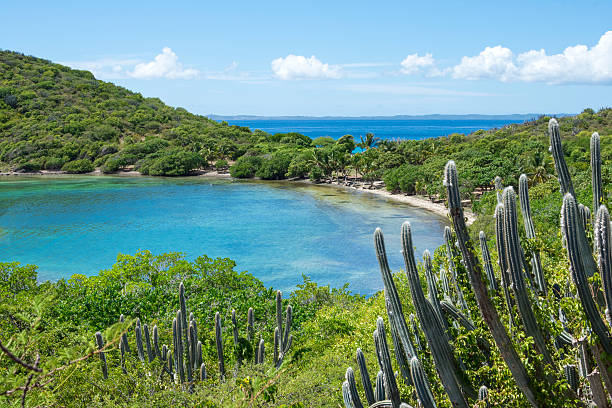 Beautiful Caribbean bay and landscape Beautiful calm Melena Bay and Soldier Point on Caribbean island of Isla Culebra in Puerto Rico with dense vegetation under sunny sky culebra island photos stock pictures, royalty-free photos & images