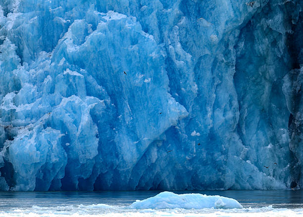 istock Alaskan Glacier with Birds in Flight 614125786
