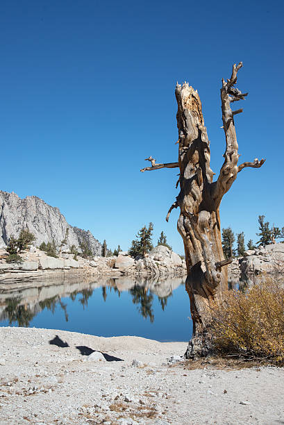 istock lone pine lake at mount whitney, october 2016 614126816