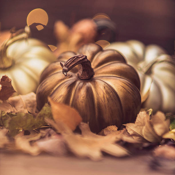 istock Fall still life luxurious arrangement for Thanksgiving or Halloween 614127510