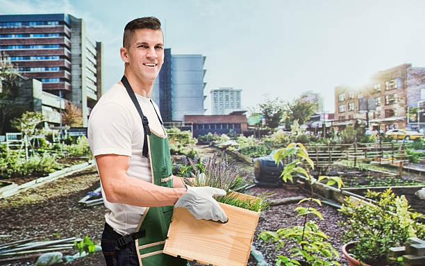 istock Smiling gardener holding box in the garden 614128922