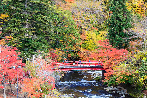 couleurs d'automne de la rivière oirase - parc national de towada hachimantai photos et images de collection