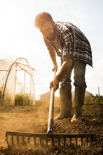 istock Young happy farmer working with a rack on a field. 614135748