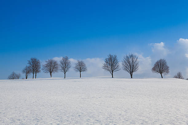 istock Winter landscape in sunny day 614136624