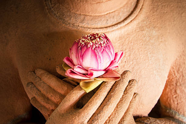 loto nelle mani del buddha di arenaria. - buddha thailand spirituality wisdom foto e immagini stock