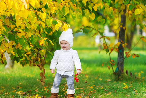 Baby girl having fun in fall park. The baby holds a branch of a red rowan-tree in hand.
