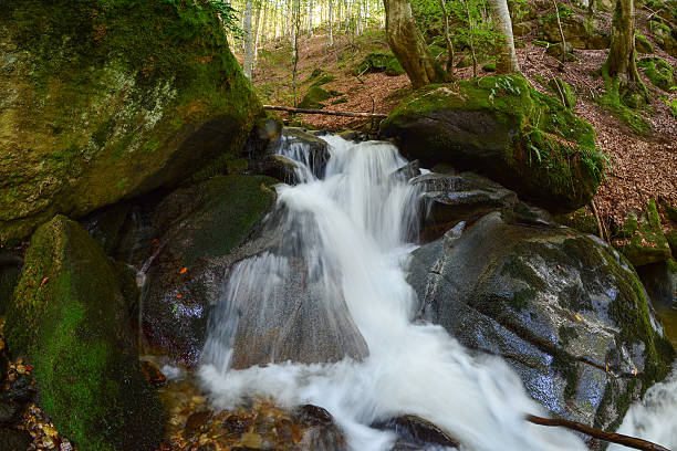 istock Waterfall on stream in the middle of beech forest 614139306
