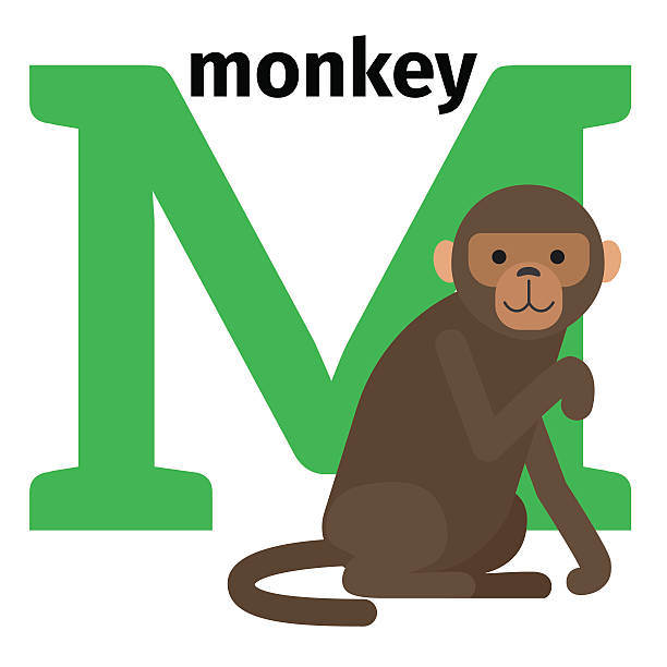 английские животные зоопарк алфавит буква m - primacy stock illustrations