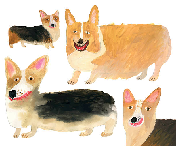 ilustraciones, imágenes clip art, dibujos animados e iconos de stock de corgi - paint can