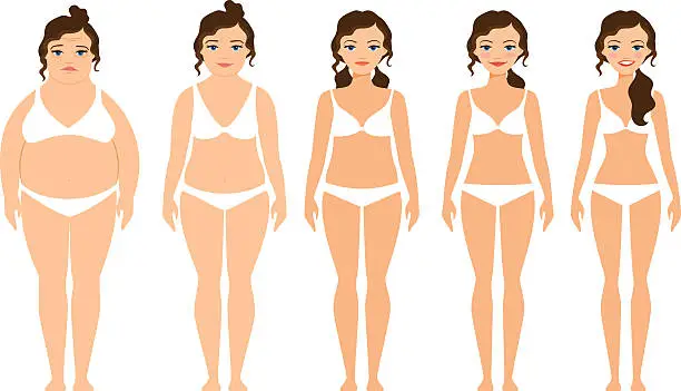 Vector illustration of Cartoon woman before and after diet