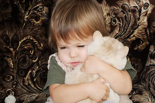 Photo of Little girl taking in her arms cat