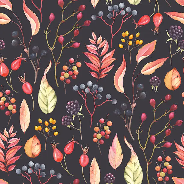 Vector illustration of Autumn pattern with branches and berries, vector illustration.