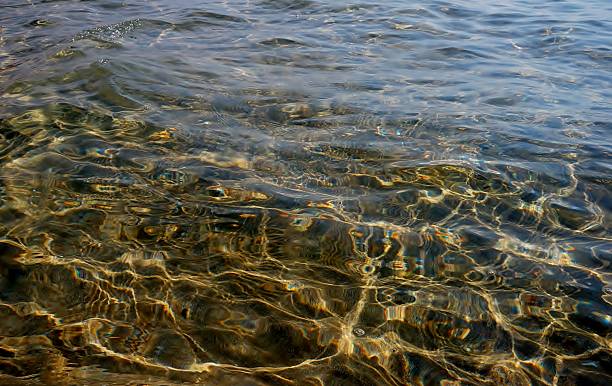 istock Multi-colors glare waters of the Black Sea 614151726