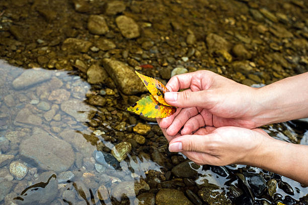 istock Yellow leaves at the river 614152144