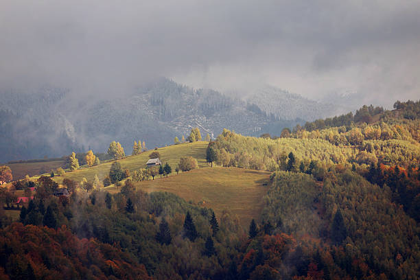 jesienny krajobraz w karpatach - forest transylvania rain fog zdjęcia i obrazy z banku zdjęć