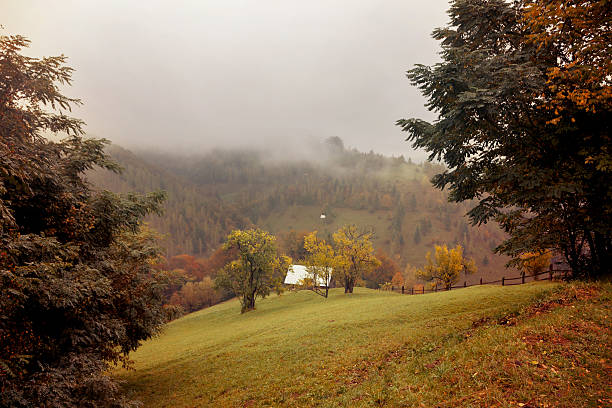 jesienny krajobraz w karpatach - forest transylvania rain fog zdjęcia i obrazy z banku zdjęć