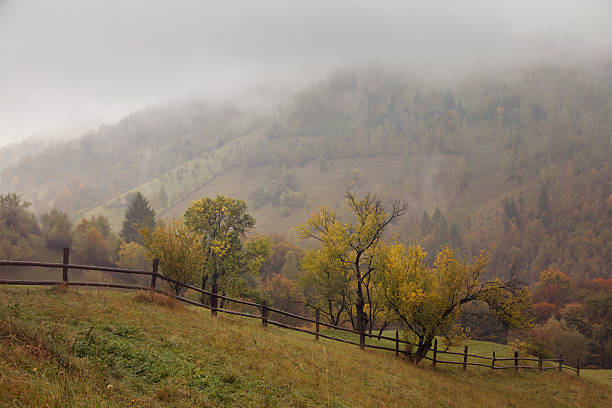 istock Autumn landscape in the Carpathian Mountains 614153574