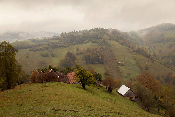 jesienny krajobraz w karpatach - forest transylvania rain fog zdjęcia i obrazy z banku zdjęć