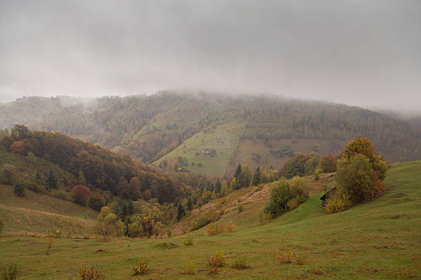 istock Autumn landscape in the Carpathian Mountains 614153892