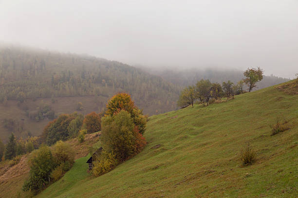 istock Autumn landscape in the Carpathian Mountains 614153924