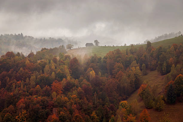 istock Autumn landscape in the Carpathian Mountains 614153992