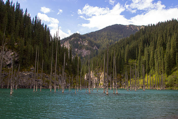 istock Kaindy  mountain lake in Kazakhstan 614154288