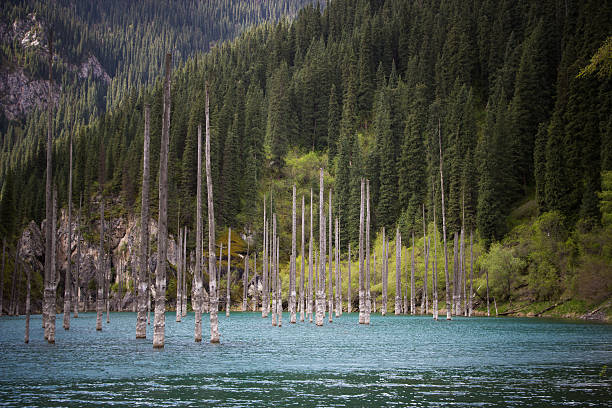 istock Kaindy  mountain lake in Kazakhstan 614205216