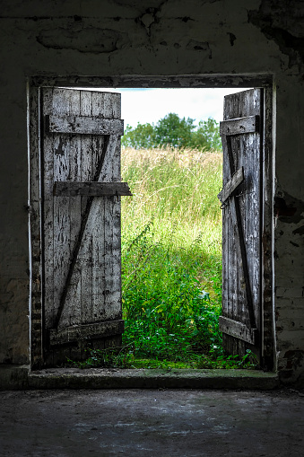 Open wood door in abandoned house. Green sunny meadow outside.