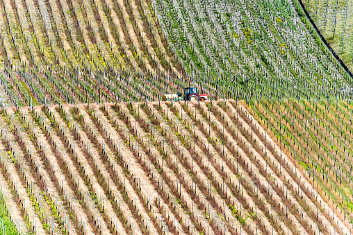 Mosel vineyard with tractor