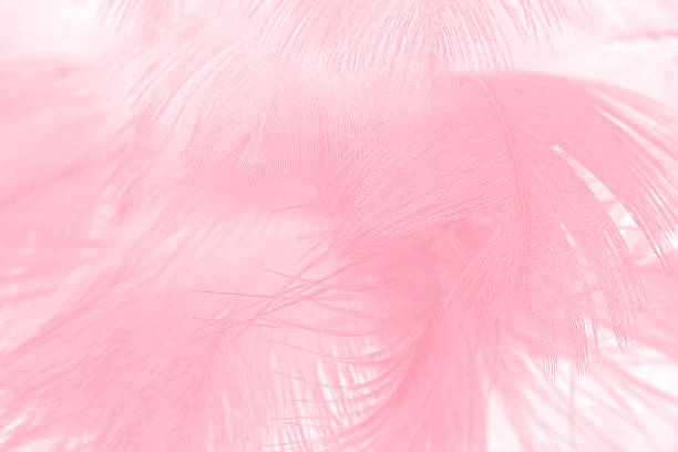 istock Coral Pink vintage color trends feather texture background 614208690