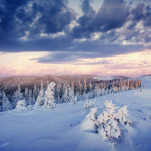 istock Mysterious winter landscape majestic mountains in winter. 614208742
