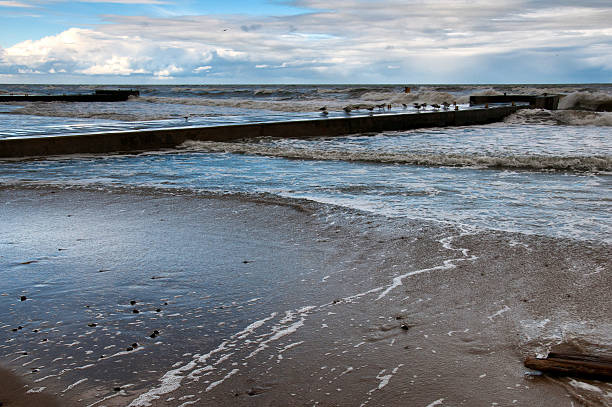 istock Coast of the Baltic Sea 614210254