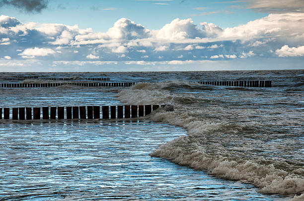 istock Coast of the Baltic Sea 614212152