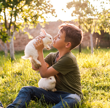 Cute boy holding a little white bunny at nature