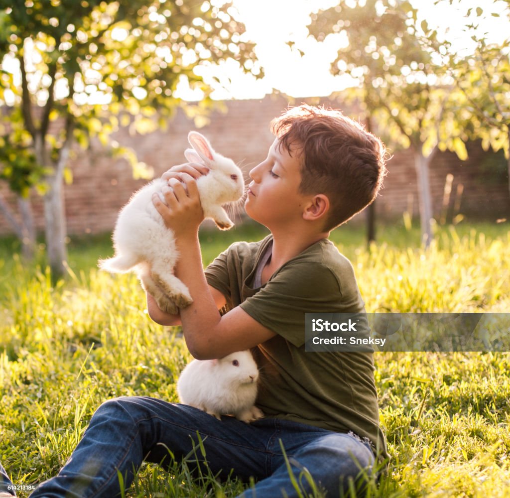 Cute boy holding rabbit Cute boy holding a little white bunny at nature Rabbit - Animal Stock Photo