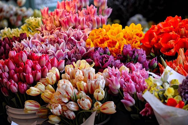 Flower Market Bright Beautiful Flowers flower market stock pictures, royalty-free photos & images