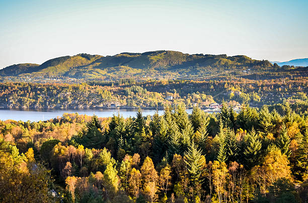 istock norwegian hilly autumn landscape in autumn or fall 614221060
