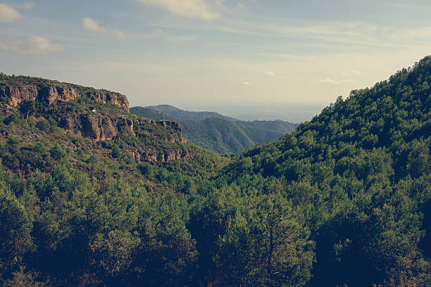 mountains in the national park serra calderona.