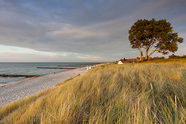 The thatched house is located on the Baltic Sea in the village of Ahrenshoop on the Darß peninsula