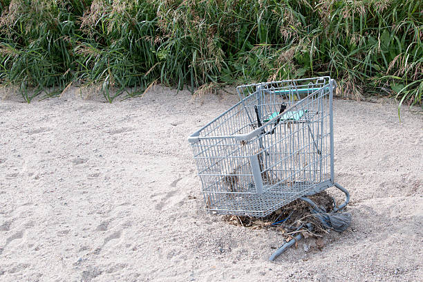 istock Abandoned, Trashed Shopping Cart in Dry Desolate Drainage Ditch, Full-frame 614222692
