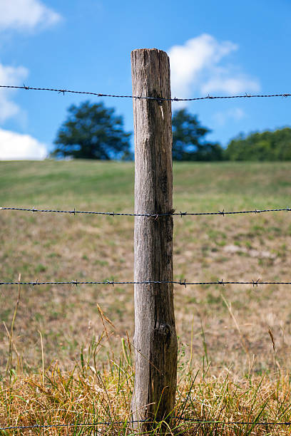 istock Fence stak detail. Color image. 614225544
