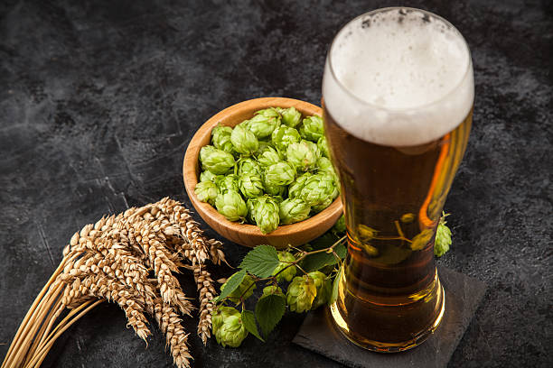 istock Beer glass on dark background 614225916