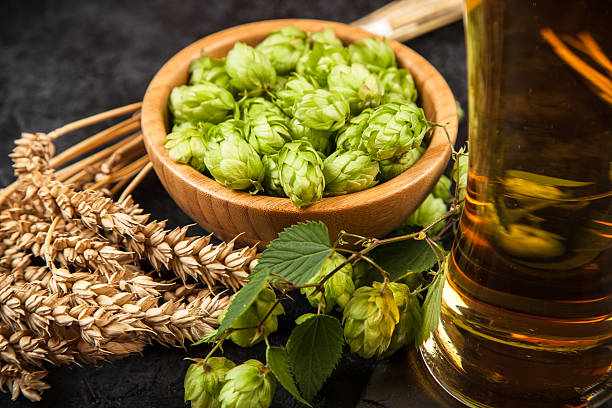 istock Beer glass on dark background 614226008