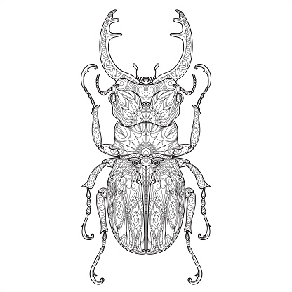beetle doodle pattern 4