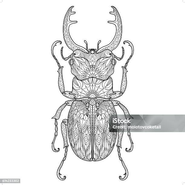 Beetle Doodle Pattern 4 Stock Illustration - Download Image Now - Coloring Book Page - Illlustration Technique, Insect, Abstract