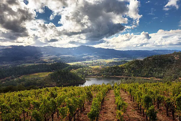Sun and clouds at a Napa California vineyard with mountains, valleys and lake