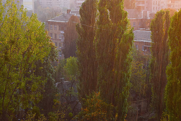 istock Heavy rain in the city. 614234626